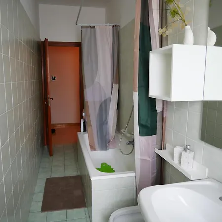 Primula * פיאנצה